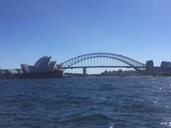 -麦考利夫人座椅