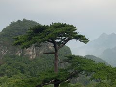 -圣莲山风景区