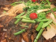 -老板恋上鱼(印象城店)
