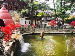 -红螺寺