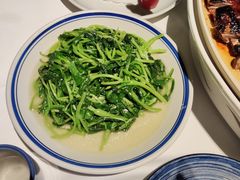 清炒鸡毛菜-八府香鸭(华山路店)