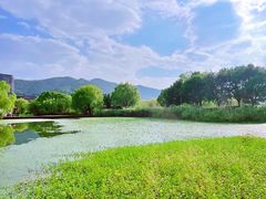-长兴太湖图影湿地文化园