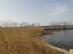 -绿堤公园