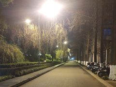 -成飞公园