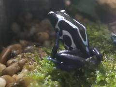 -暹罗海洋世界