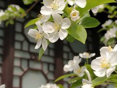 -莫愁湖公园