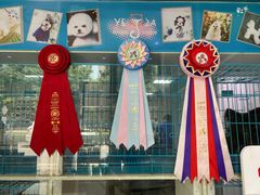 -萌兽医馆·宠物医院·猫骨科(创景店)