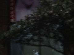 -宝健路步行街(Pedestrian Shopping Street)