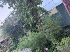 -老房子金沙元年川菜食府·花园餐厅(金沙店)