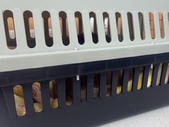 -联合动物医院(光谷诊疗中心)