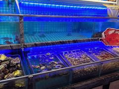 -渔家风味·鲅鱼水饺·央视展播·海鲜天津菜(开发区店)