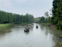 -溱湖国家湿地公园