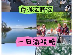 -白洋淀景区