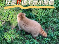-广州动物园