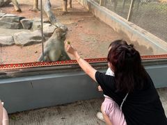 -深圳野生动物园