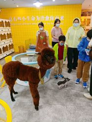-神奇动物撸宠馆·羊驼·小浣熊·异宠(豫园店)