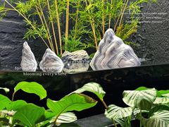-宫七SPA·高端Massage(浦东大道店)