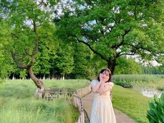 -艾溪湖湿地公园