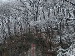 -句容茅山景区