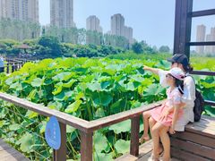 -前关湿地公园