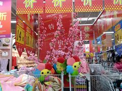 -大润发(康桥店)