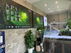 -阅年轻·AI家庭健康体质调理