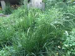 -祥源·阜阳生态乐园