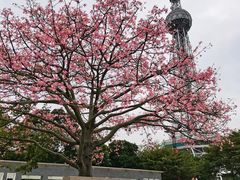 -文华公园(禅城区)