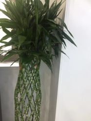 -悟空祛痘·诺奖技术专业店