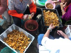 -双喜农庄·菌香园(安居家园店)