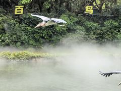 -广州长隆飞鸟乐园