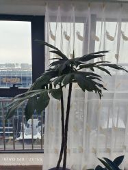 -HEYAN荷妍专业脱毛连锁机构