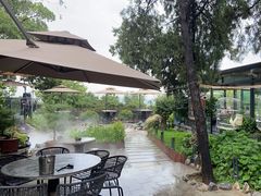 -蘇河湾·新鲁菜·泰山宴(泰山店)