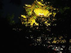 -迎泽公园