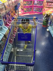 -玩具反斗城(正大广场店)