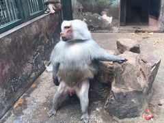-无锡动物园·太湖欢乐园