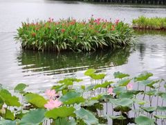 -东山湖公园