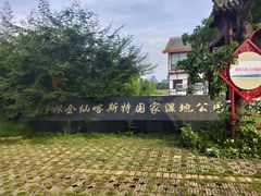 -会仙湿地