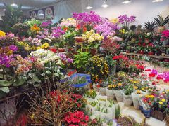 -双季花艺园艺市场(浦东店)