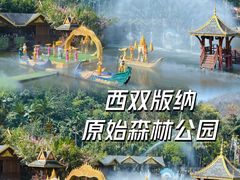 -西双版纳原始森林公园