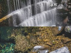 -大奇山国家森林公园