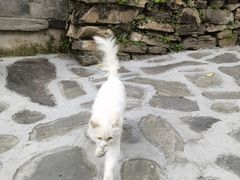 -水峪民俗村