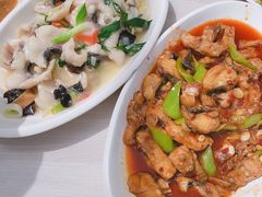 -特种渔场