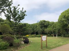 -昆山城市公园