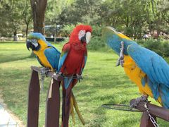 -北京野生动物园