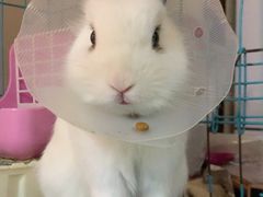 -美迦爱-牙专科·兔科·骨科诊疗中心(北苑店)