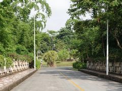 -中国科学院西双版纳热带植物园