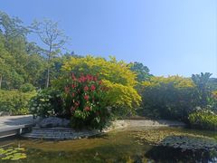 -云溪植物园
