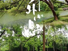 -中国科学院华南植物园