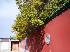 -塔尔寺